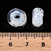 Handmade Lampwork Beads Strands LAMP-T021-15J-4