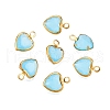 K9 Glass Charms GLAA-T023-11D-1