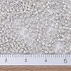 MIYUKI Delica Beads SEED-J020-DB0551-4
