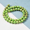 Synthetic Imperial Jasper Dyed Beads Strands G-P507-01A-04-2