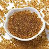 Transparent Colours Glass Seed Beads SEED-P006-02A-15-2