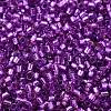 Glass Seed Beads SEED-S042-04B-20-3