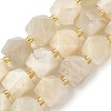 Natural Moonstone Beads Strands G-G271-A02-01-2