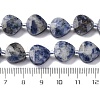 Natural Blue Spot Jasper Beads Strands G-P570-E19-02-5