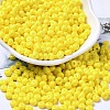 Baking Paint Glass Seed Beads X1-SEED-B001-02A-03-1