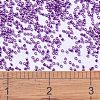 MIYUKI Delica Beads SEED-X0054-DB0431-4