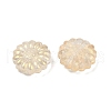 Transparent Glass Beads DGLA-E004-05M-2