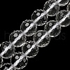 Natural Quartz Crystal Beads Strands G-C079-B06-03-1