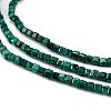 Natural Malachite Beads Strands G-C009-B24-01-3