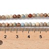 Dyed Natural Regalite/Imperial Jasper/Sea Sediment Jasper Beads Strands G-B124-C05-04-2
