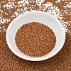 MIYUKI Delica Beads X-SEED-J020-DB2287-2