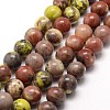 Natural Plum Blossom Jasper Beads Strands G-A163-02-6mm-1