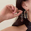 Zinc Alloy Resin Dangle Earrings FS-WG0D0C1-01-2