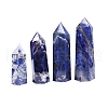 Point Tower Natural Sodalite Home Display Decoration PW-WG54681-03-4
