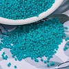 MIYUKI Delica Beads SEED-X0054-DB0793-1