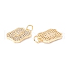 Rack Plating Brass Micro Pave Clear Cubic Zirconia Pendants ZIRC-I057-22G-2