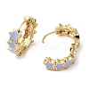Star Real 18K Gold Plated Brass Hoop Earrings EJEW-L268-013G-03-2