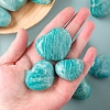 Natural Amazonite Heart Palm Stones PW-WG21258-01-2