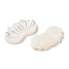 Natural Trochus Shell Carved Beads SHEL-P017-12-2