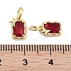 Brass Micro Pave Cubic Zirconia Charms KK-C051-10G-06-3