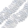 Electroplate Glass Beads Strands EGLA-C005-01A-PL01-1