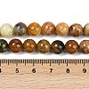Natural Green Opal Beads Strands G-K245-A17-A04-4