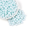 Opaque Baking Paint Glass Seed Beads SEED-N008-03A-07-1
