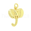 Rack Plating Brass Pendants KK-U021-07G-1
