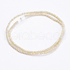 Electroplate Glass Beads Strands X-GLAA-F078-FR08-2