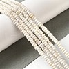 Natural Howlite Beads Strands G-K284-C01-01-2