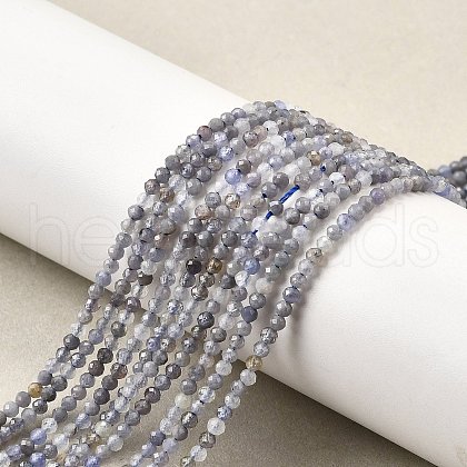 Natural Tanzanite Beads Strands G-S387-A01-2mm-1