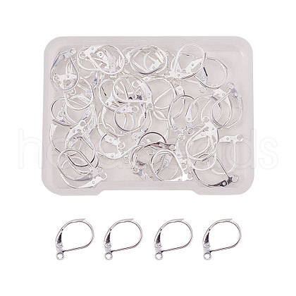 304 Stainless Steel Leverback Earring Findings STAS-NB0004-04S-1