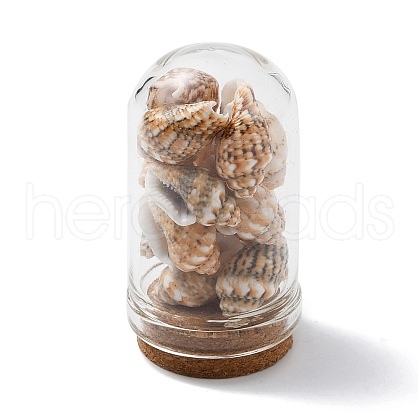 Glass Dome Bottle Display Decorations AJEW-JD00008-04-1