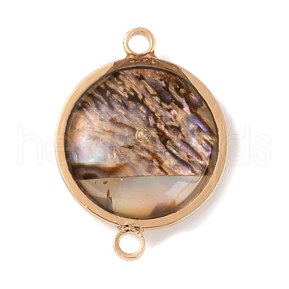 Natural Abalone Shell/Paua Shell Connector Charms KK-WH0031-05D-1
