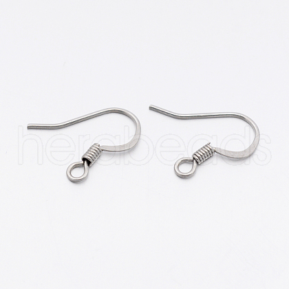 304 Stainless Steel French Earring Hooks STAS-E074-43-1