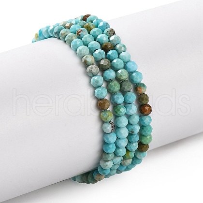Natural Howlite Beads Strands G-C025-02A-06-1
