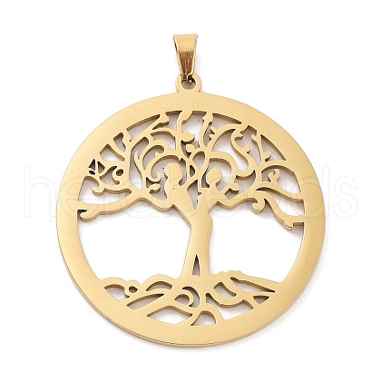 Hollow Out 304 Stainless Steel Pendants STAS-G342-01G-1