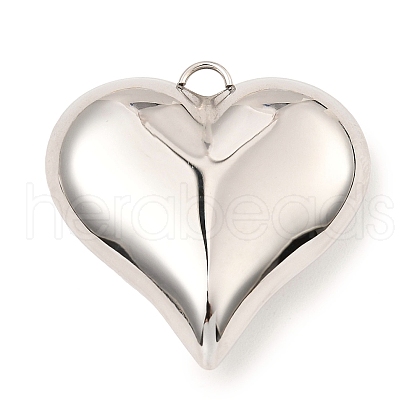 304 Stainless Steel Pendants STAS-A089-01B-P-1