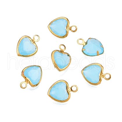 K9 Glass Charms GLAA-T023-11D-1