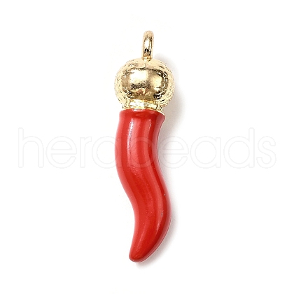 Opaque Resin Pendants RESI-V004-01B-1
