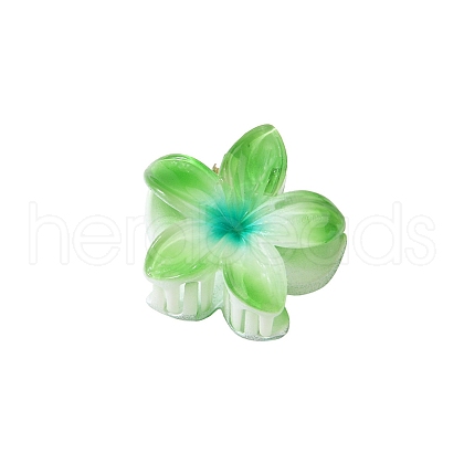 Plastic Claw Hair Clips PW-WG07B2B-09-1