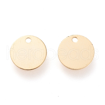 304 Stainless Steel Charms STAS-K195-12G-02-1