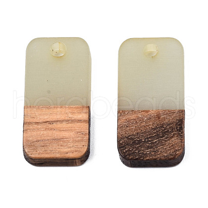 Two-tone Transparent Resin & Walnut Wood Pendants RESI-S384-008A-B05-1