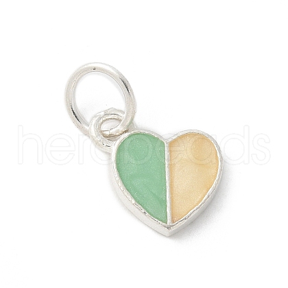 S925 Sterling Silver Pendant STER-H115-05B-S01-1