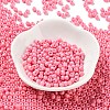 Baking Paint Glass Seed Beads SEED-H002-I-A504-2