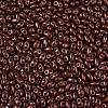 Baking Paint Glass Seed Beads SEED-T006-03V-2