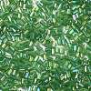 11/0 Two Cut Glass Seed Beads X-CSDB167-2
