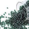 TOHO Round Seed Beads X-SEED-TR11-0118-1