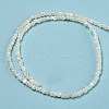 Natural White Shell Dyed Beads Strands BSHE-Z005-03G-2