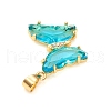 Glass Pendants X-GLAA-G075-01G-07-2